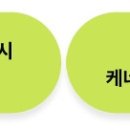시월드비젼