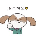 더머거 이미지
