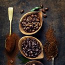 레인전자 이미지