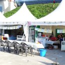 진도울돌목주말장터 이미지