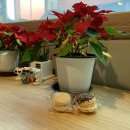 파리바게트 건물 대각선 횡단보도(캐슬2차) | 1212 - 1224 휴학생 일상 ( 알바 / 북토크 / 종강 파티 / 마카롱 / 하늘 / 영화 &lt;메리 셸리&gt; )