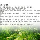 교독문27편 시편121편 이미지