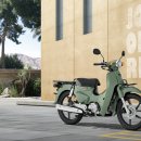 빅 모터스/오일스마트 이미지