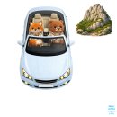 맑은내소공원 | 속초 2박3일 여행코스 총정리｜설악산 케이블카·맛집·카페 현실 동선 그대로