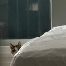 명수당약국 | 온갖 맛있는 거 다 먹고 사는 중