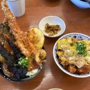 요이쿠마 이미지