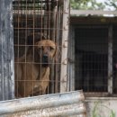 이병천농장 이미지