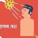 바른생활 이미지