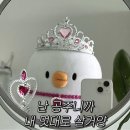 대학원생의 종강 같지 않은 종강 - 5주차