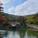 구천동송어마을 이미지