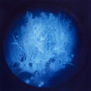 사상워터스 이미지