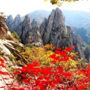 전국자동차노동조합연맹 경북지역 자동차 | 11월 17일 News Brifing