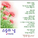 보영 이미지
