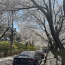 마고실민박 이미지