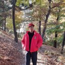 엠엘지
