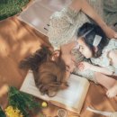 성남대로1390번길 이미지