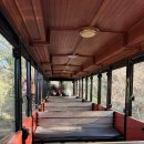 파크사이드관광호텔 | [제주 4박5일 자유여행] Day4:: 제주 동쪽 가볼만한곳 볼거리 체험거리 다양한 에코랜드 테마파크
