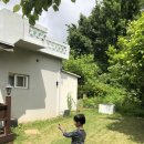 잠자는 숲속의 펜션 이미지