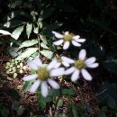 준용농장 | 농업회사법인 설립 후기 - 설립등기부터 경영체등록, 정책자금 받기까지의 노하우