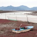 서해랑길 43코스 이미지