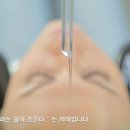 로즈마리플라워 이미지