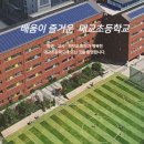 매교초등학교 이미지