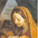 수원-0241 이미지