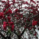 대구여자상업고등학교 이미지