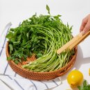 싱싱푸드 이미지