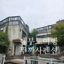 대부도 펜션월드(수까사) | 대부도 뚜까사 펜션 추천은 안해 19명 대가족여행