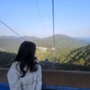 거제케이블카펜션 | 거제 파노라마 케이블카 후기노자산 최단 코스·요금·할인·주차 총정리