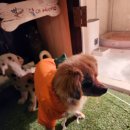 남해아라힐펜션 | 남해펜션 남해아라힐펜션 힐링하고 온 후기