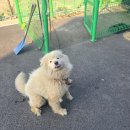은혜전기조명