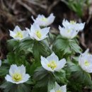 광덕산2로 이미지