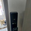 금광베네스타 이미지