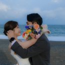묘화꽃 이미지