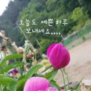 예쁜하루