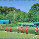 경희대성빈태권도 이미지