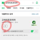 고라이프