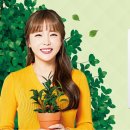귀뚜라미보일러서비스 이미지