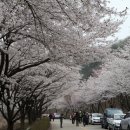 축제2015 이미지
