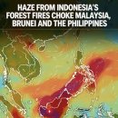 말레이시아의 심각한 헤이즈(Haze) 뉴스 (20261009) 이미지