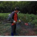 고사리민박 이미지