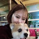 짚봉 통닭