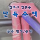 흥신로 이미지