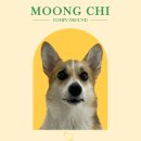 유원 유치원 이미지