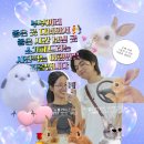 이온스위밍센터 | 제주해비치호텔 수영장 운영시간, 사계절 따뜻한 윈터가든