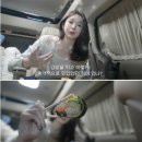 코끼리김밥 이미지