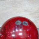 트윈스팜 이미지