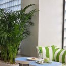 데일리오아시스 동편마을점 이미지